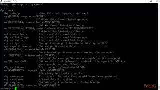 Using the vm support Tool