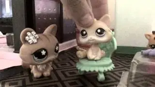 LPS short "Teddy Bear"(+MV Teddy Bear By Melanie Martinez)