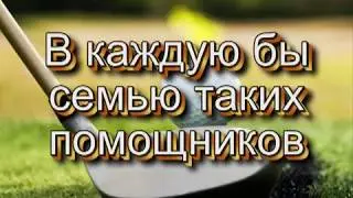 ЧИКАПЧИКИ