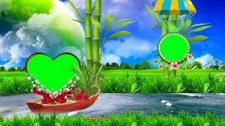Green Screen Effect Green Screen Video Green Screen Wedding Green Screen Green Screen Video Frame