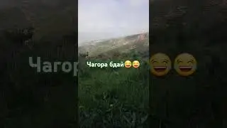😂😂😂😂комта хостм