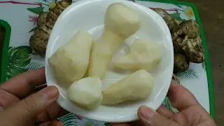 Health Benefits of Jerusalem Artichoke