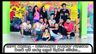 SIPPI CINEMA - DESPACITO PARODY VERSION  එකට අපි කරපු අලුත් වැඩක් මෙන්න...