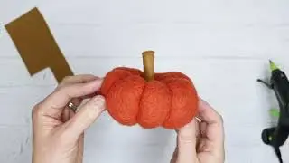 Pumpkin Details