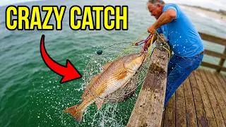 My Best Fish from a Carolina Fishing Pier