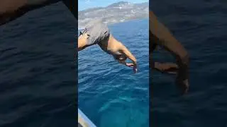 BALIK KURTARMA