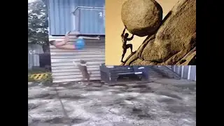 one must imagine this dog happy (sisyphus meme)