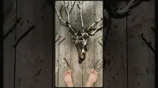 вызов Вендиго ☎️ 🦌