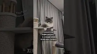 Можете распрощаться🙈😅