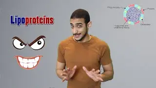 Lipoproteins - شرح بالعربي