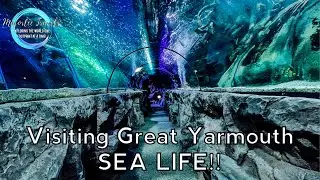 Visiting Great Yarmouth Sea Life Centre