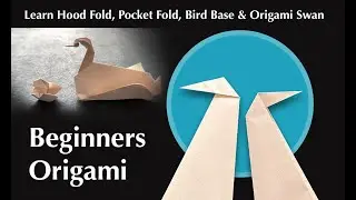 Origami For Beginners | Hood Fold, Pocket Fold, Bird Base & Origami Swan