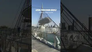 Lusail Pedestrian Bridge (Glass Bridge) Qetaifan Island South #shortvideo #lusailcity #lusail