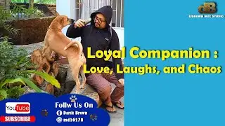 Loyal Companion : Love, Laughs, and Chaos