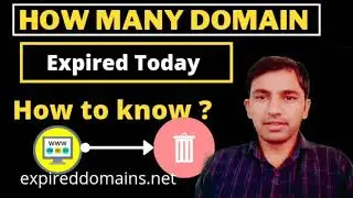 How to Check Daily Basis Expired Domains List