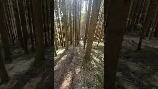 Кайовод за рулём 😁