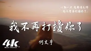 何文宇 - 我不再打擾你了『從開始 到現在我都不是你的例外，才明白 我沒有資格去談愛與不愛。』【動態Lyrics|高音質】♫