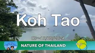 Koh Tao : Nature of Thailand Tour Pt.2