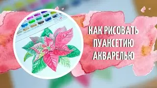 Ботаническая иллюстрация акварелью. Как рисовать пуансетию