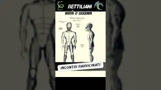 Rettiliani: sono tra noi? #shorts #shortvideo