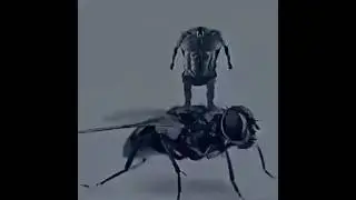AI Gigachad memes edit