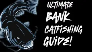 Bank Catfishing - HOW TO Catch MORE Catfish - Fishing Tips Every Season!