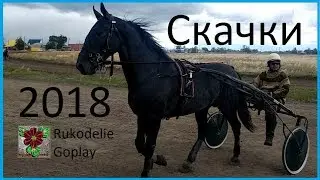 Скачки на лошадях город Троицк 2018г