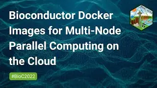 Bioconductor Docker Images For Multi-Node Parallel Computing On The Cloud