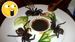 Top 10 Most Bizzare Food Around The World