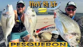 💛 HOY DORADAS XL CON LAS R18 QUE GOZADA SURFCASTING SEGUIMOS EN RACHA 🖤