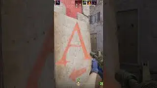 Surprised Eco Flick