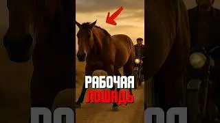 Рабочая лошадь позвала человека спасать подругу!