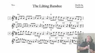 The Lilting Banshee Cover on the Roland Aerophone AE20