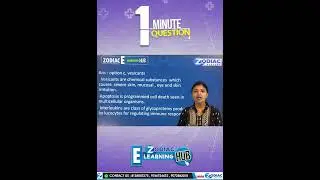 Our New Strategic Plan......E-Learning HUB.....Zodiac Academy.... #zodiacacademy #education #shorts