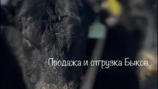 Сезон продаж начался. Выбираем, проверяем, отгружаем! В любой регион Казахстана!