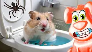The adventures of a hamster in a tangled maze with the jelly dog ​​Stasik.