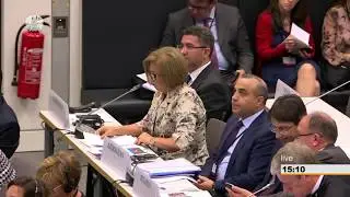 Bahar Muradova - Meeting of the Standing Committee / Berlin Annual Session 2018