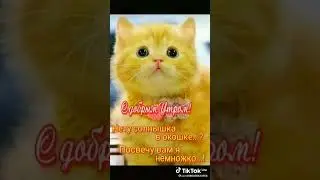 С Добрым утром!!! Красивое Поздравление!!!!