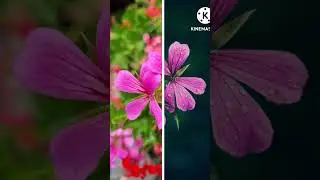 Before and After........How is on the channel #phonephotography #mobile_editing #mobilephotography