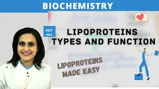 Lipoproteins Explained: Types, Functions & Metabolism Made Easy!