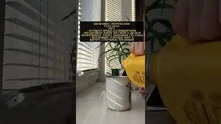 Гель Алоэ Вера