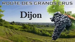 Route des Grands Crus : DIJON