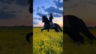 Иногда приходится ездить в колготках 🤣 #конныйблог #конныйтуризм #фриз #жеребец #можайск #ранчо