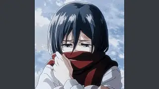 Mikasa