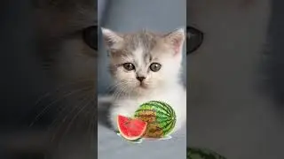 что ты видишь