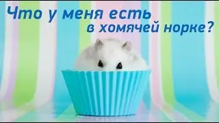 Вышивка. Китайские наборы с АлиЭкспресс, что же я захомячила? Часть 1