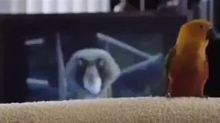 I like to move it