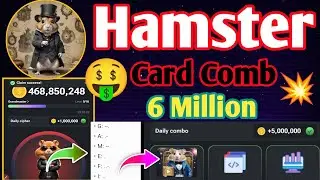hamster kombat daily combo today 14 june | hamster kombat daily combo | hamster kombat new update