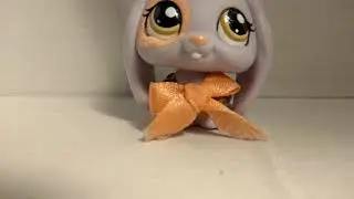 Важное видео (или нет)