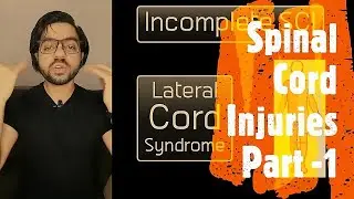 Understand types of Spinal Cord Injuries in 5 minutes !